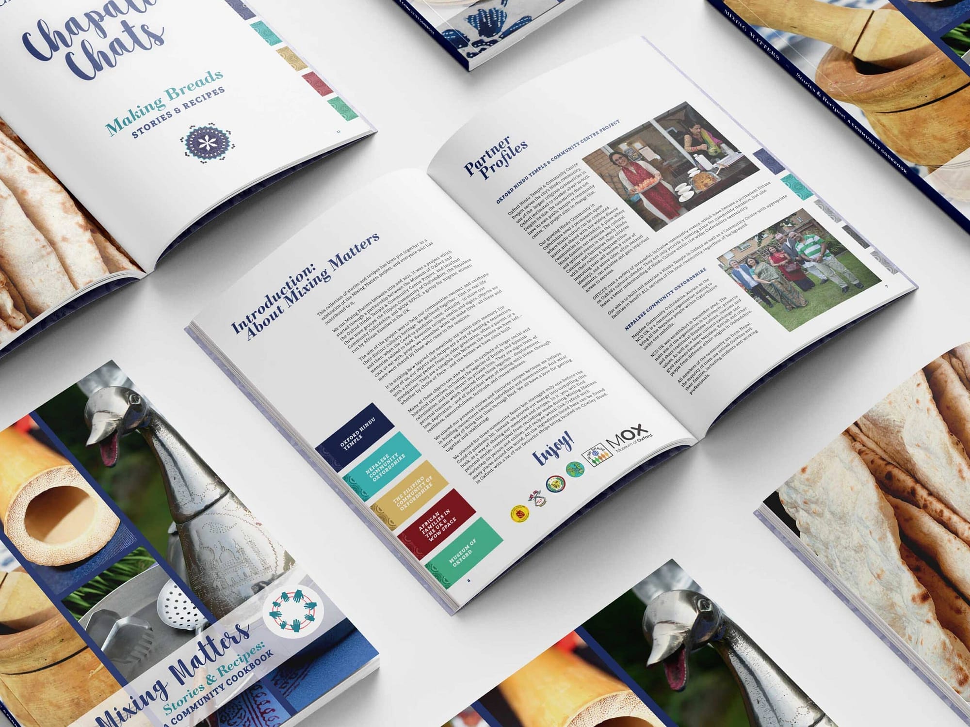 book design-illustration-layout-prospectus-community book-museum-catalogue-design