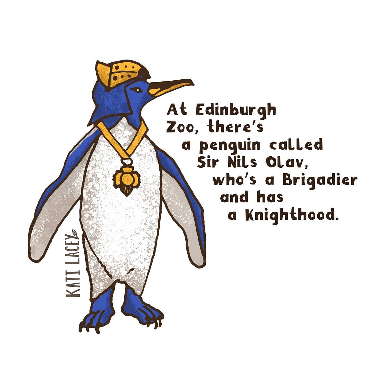 Sir-Nils-Olav-at-Edinburg-Zoo-illustration-by-Kati-Lacey