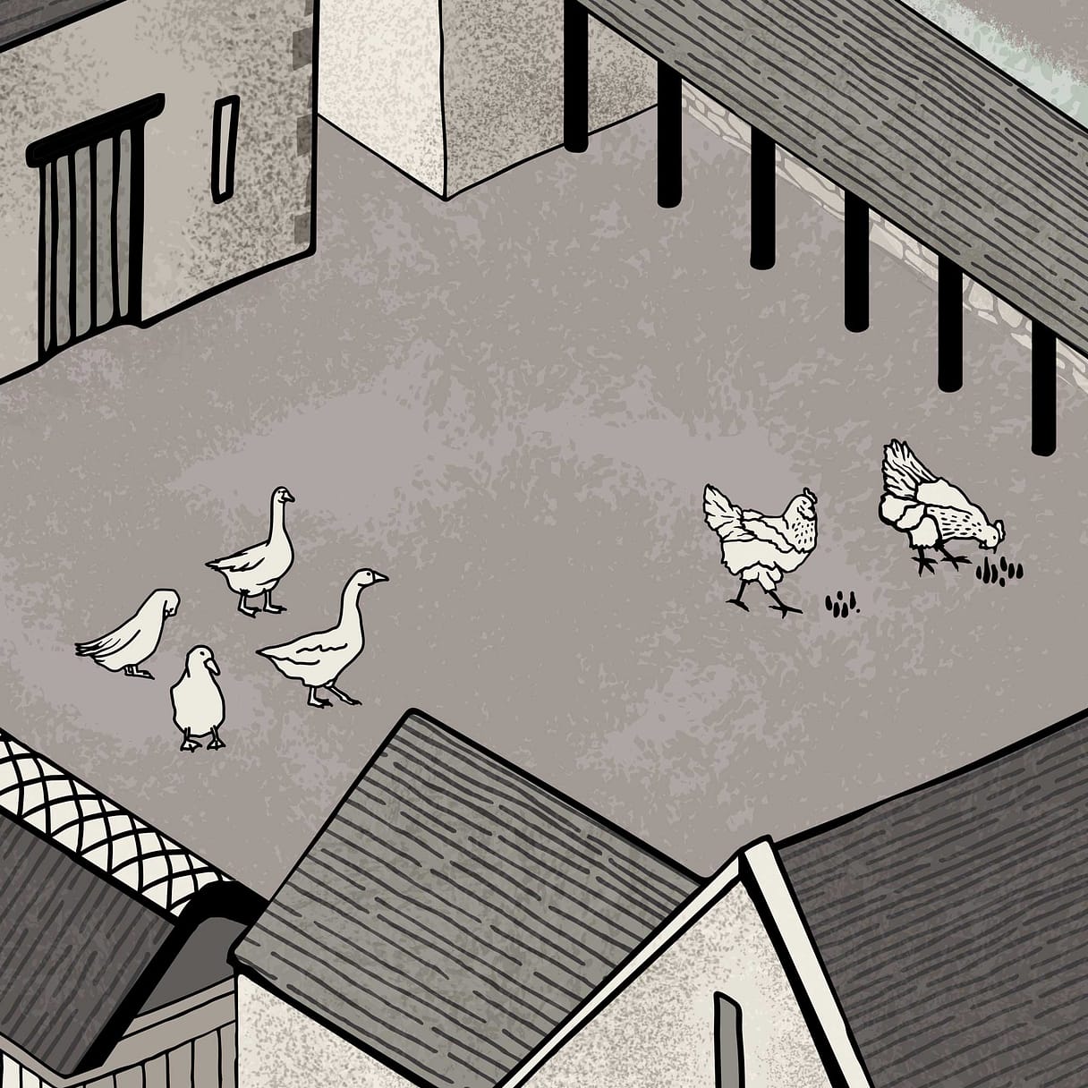 geese ducks and chicken in the courtyard map illustration