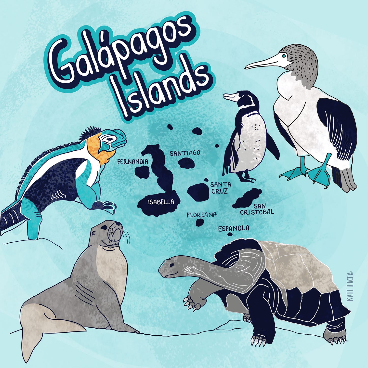 Galapagos Island Map Illustrtation