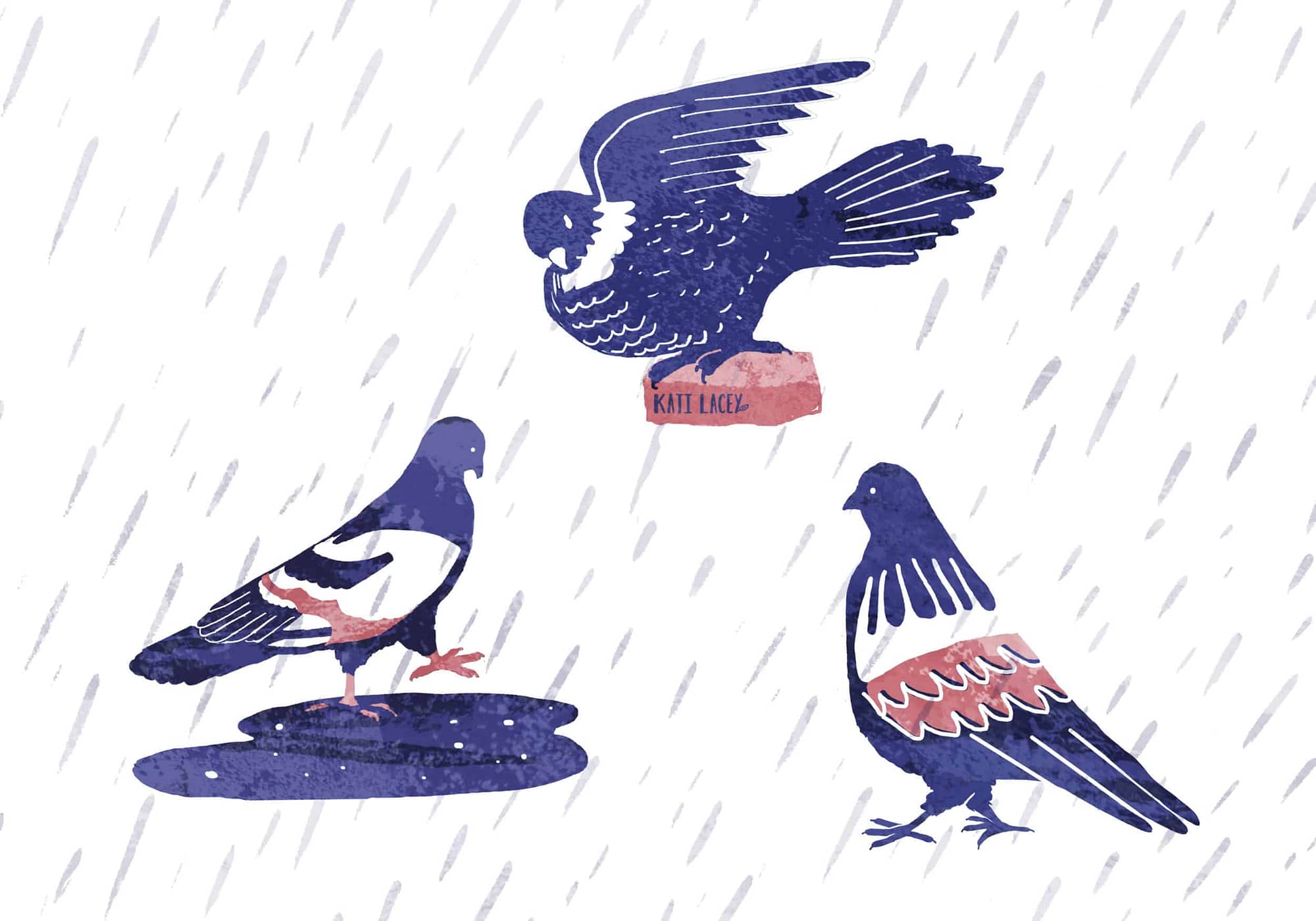 pigeons bathing showering in the rain washing armpits illustration blue and pink katilacey freelance illustrator moments of joy