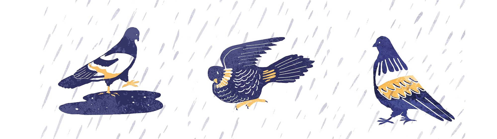 pigeons bathing showering in the rain washing armpits illustration blue and pink katilacey freelance illustrator moments of joy