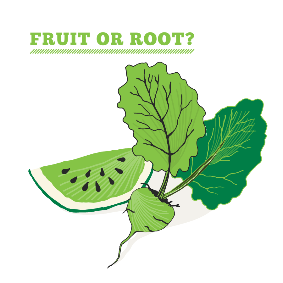 foor or root foor for life showing melon and cholrabi illustration